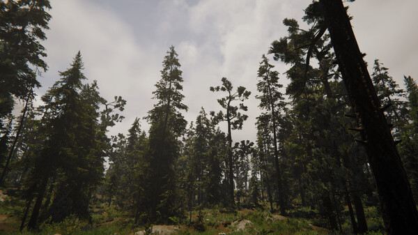Spriggan Screenshot