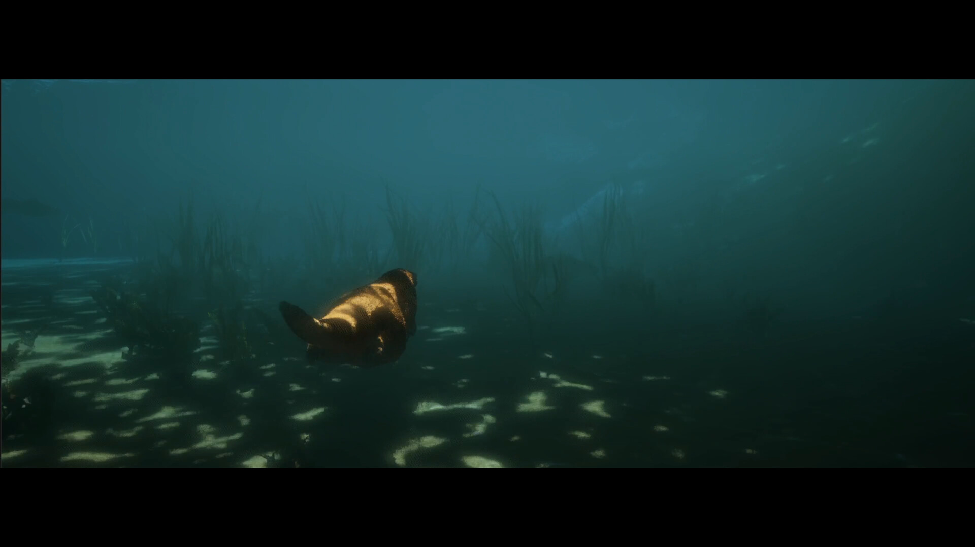 Dear, Lake screenshot #4