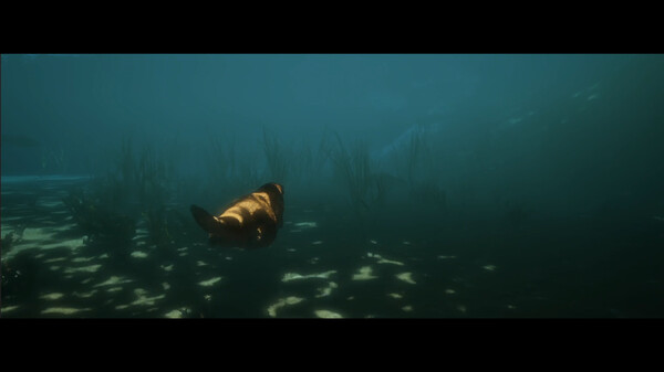 Dear, Lake screenshot 4