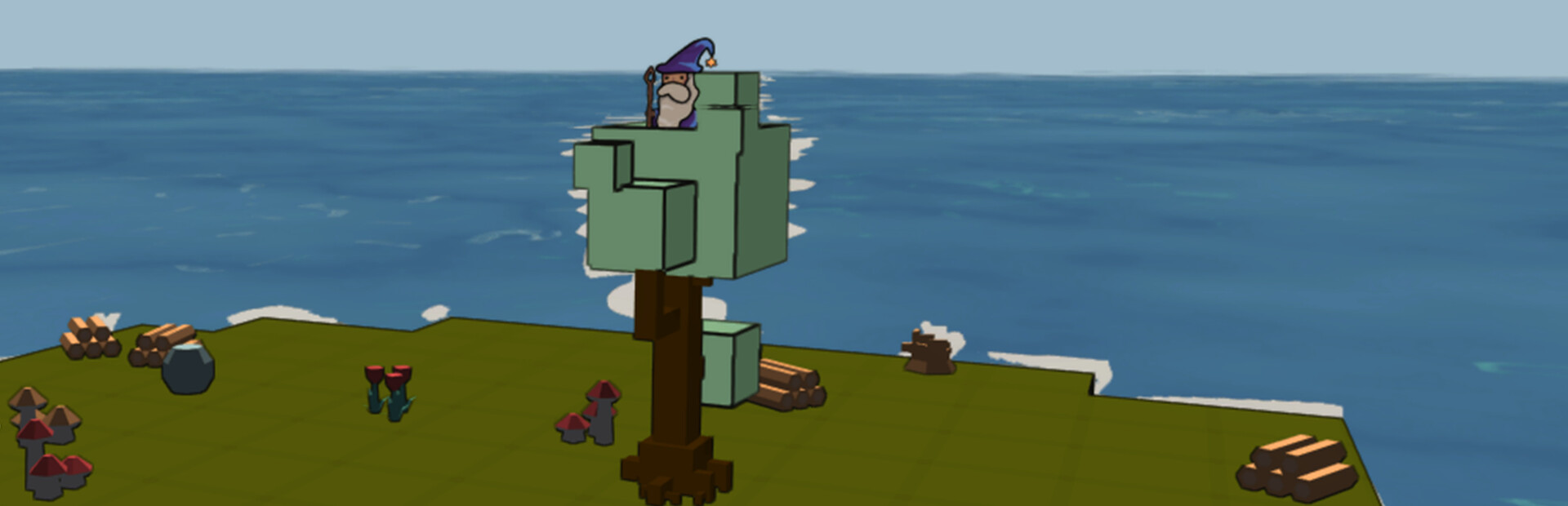 King Wizard, of the Forest Kingdom