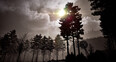 Screenshot 22