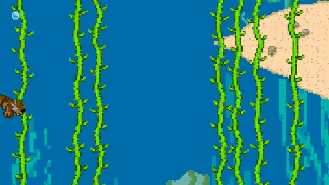 Kelp Keeper video 1
