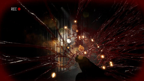 Thumbnail 12