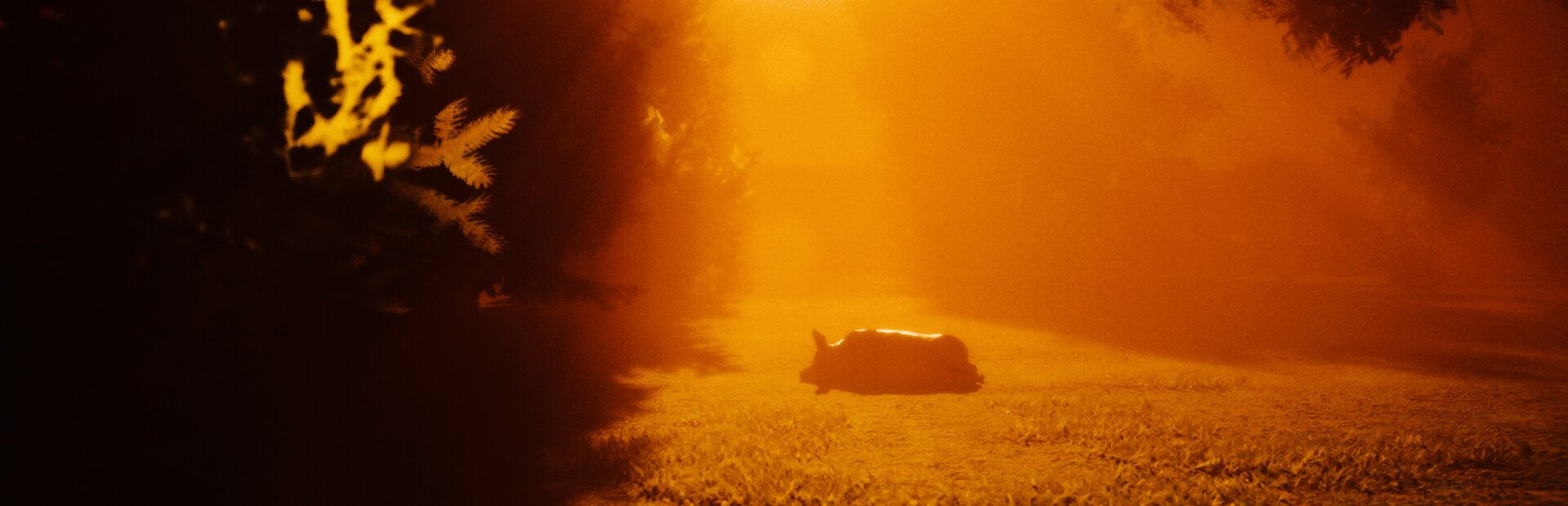 Of Dead Earth