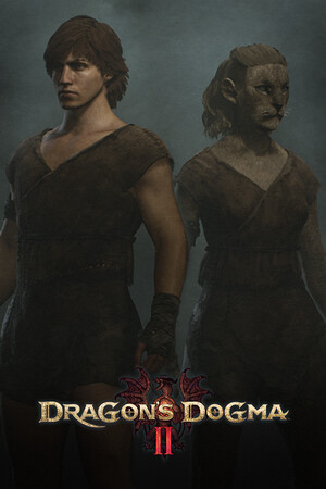 Cover art of Dragon's Dogma 2 Character Creator & Storage
