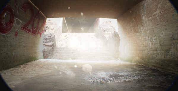 Thumbnail 19