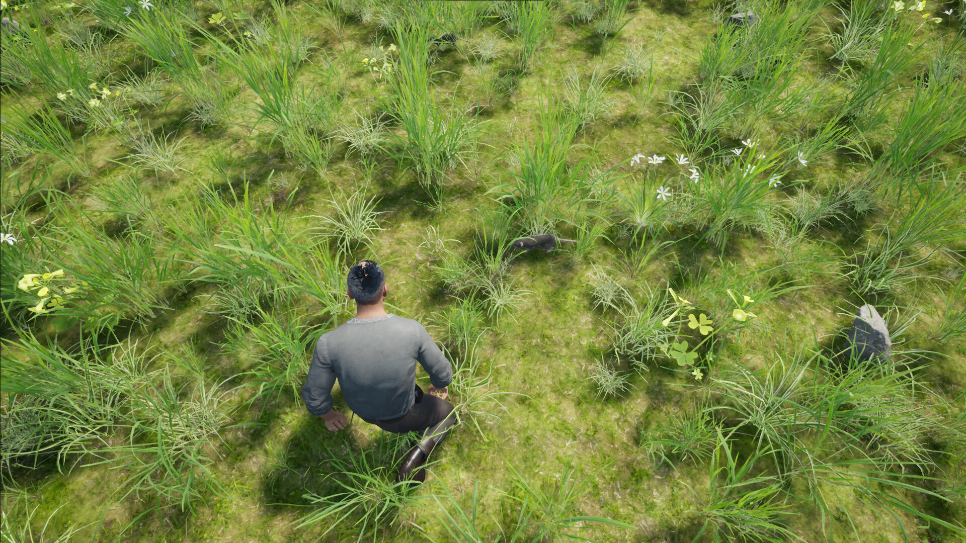Statera: Aurum screenshot