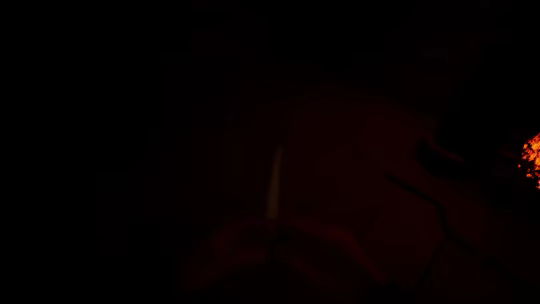 The Quiet Execution video 2