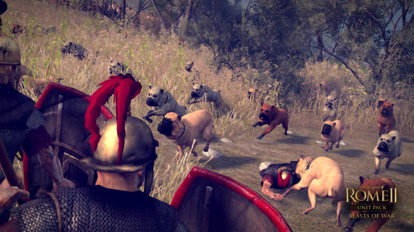 Total War: ROME II - Beasts of War Unit Pack screenshot 6