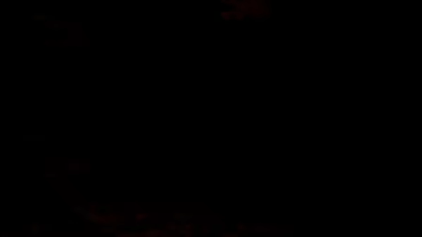ChiroTerra video 2