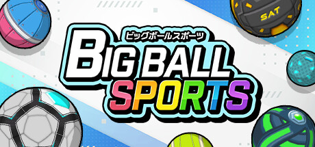 ビッグボールスポーツ