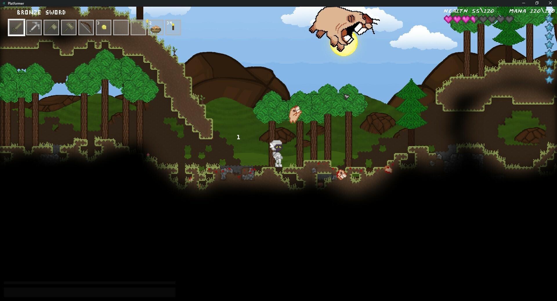 Platformer