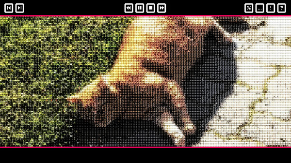 Screenshot media