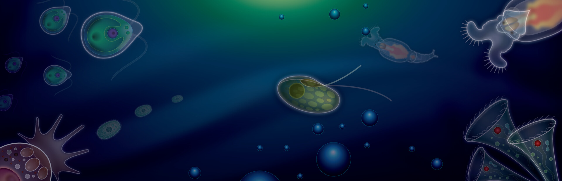 Symbio