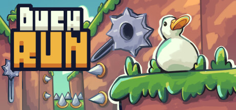 Duck Run cover image