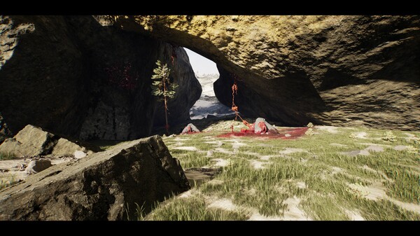 Thumbnail 13