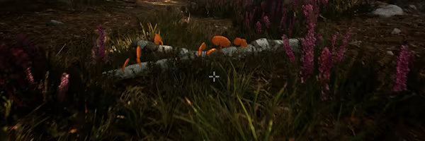 Morels: The Hunt 2 video 3