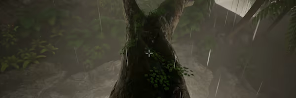 Morels: The Hunt 2 video 9