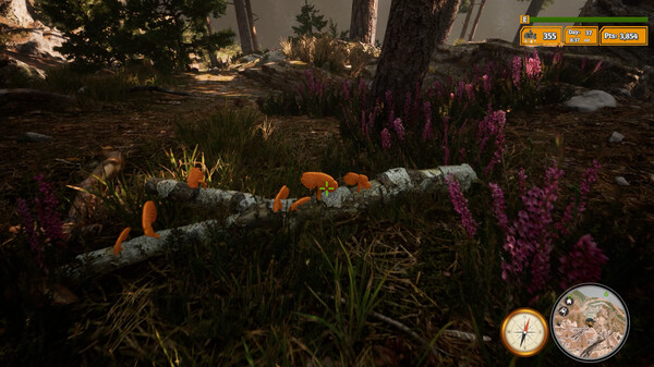 Morels: The Hunt 2 screenshot 4