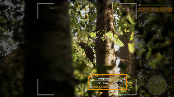 Morels: The Hunt 2 screenshot 5