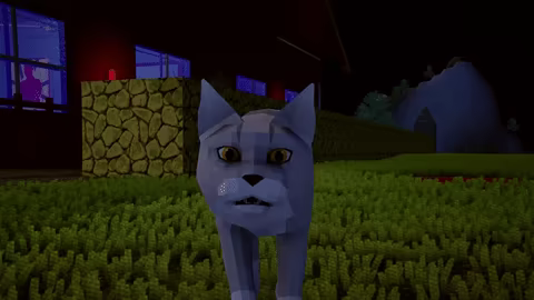 Feline Shenanigans video 2