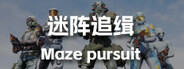Capsule media