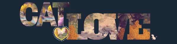 Hidden Cats: Magic Forest video 1