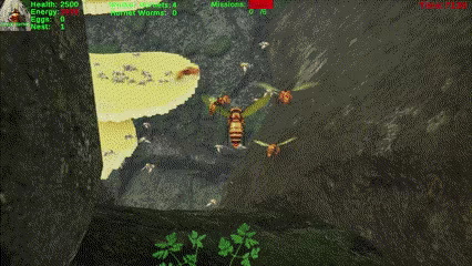 Giant Hornet video 2