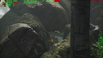 Giant Hornet video 3