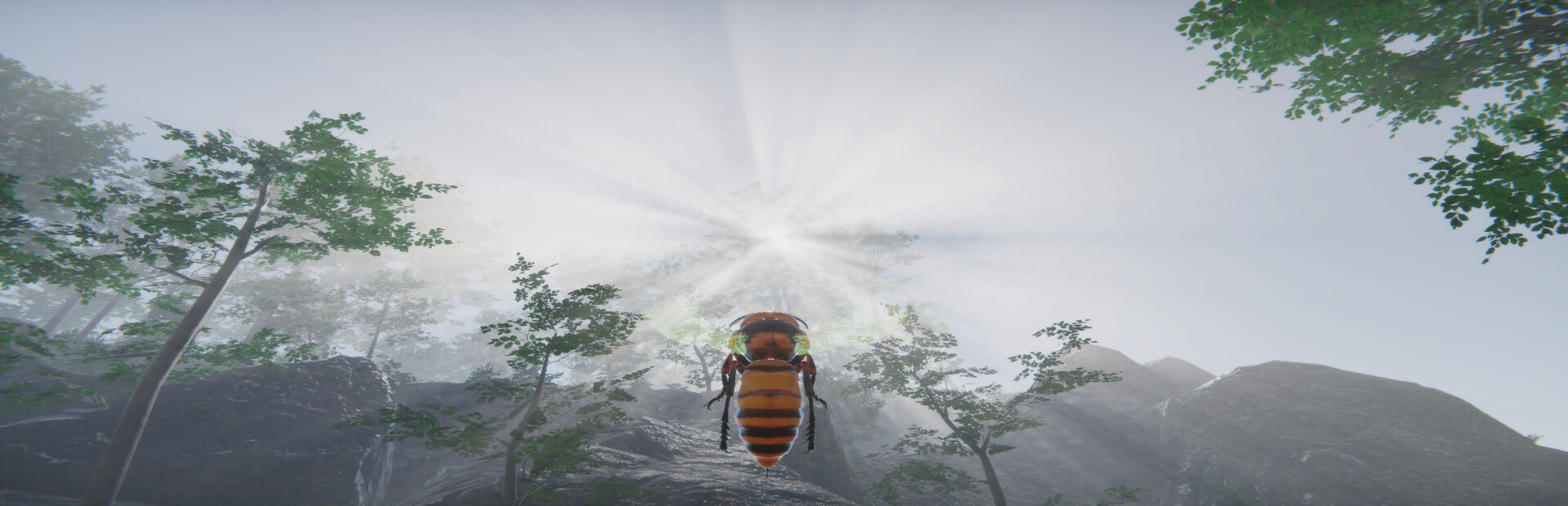 Giant Hornet