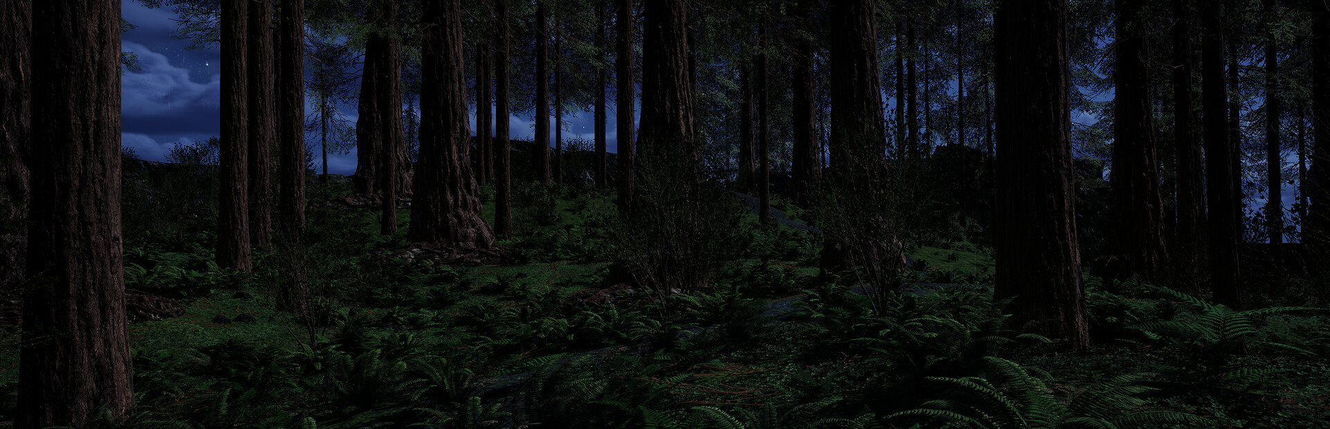 DARK FOREST
