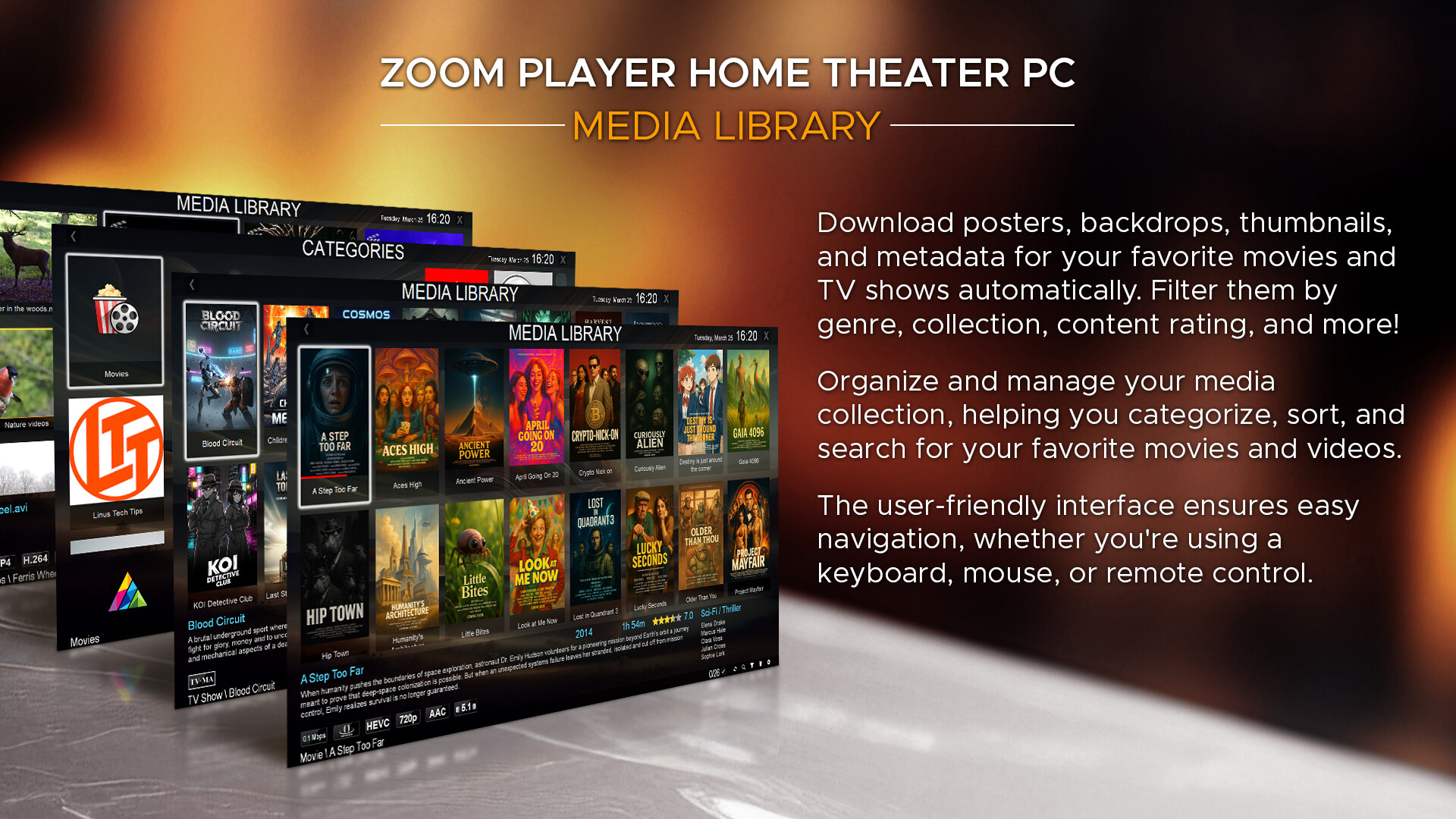 Zoom Player : Steam Edition screenshot 4