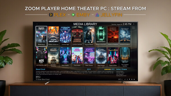 Zoom Player: Steam Edition screenshot 12