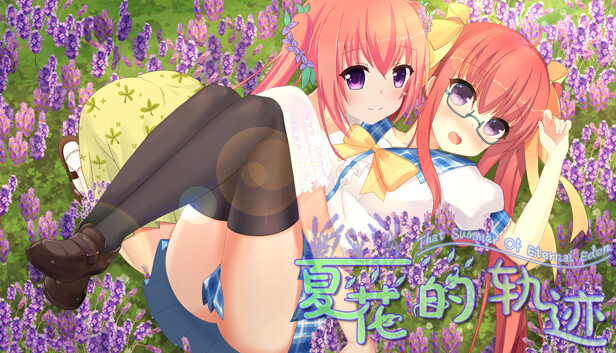 夏花的轨迹——That summer of eternal eden