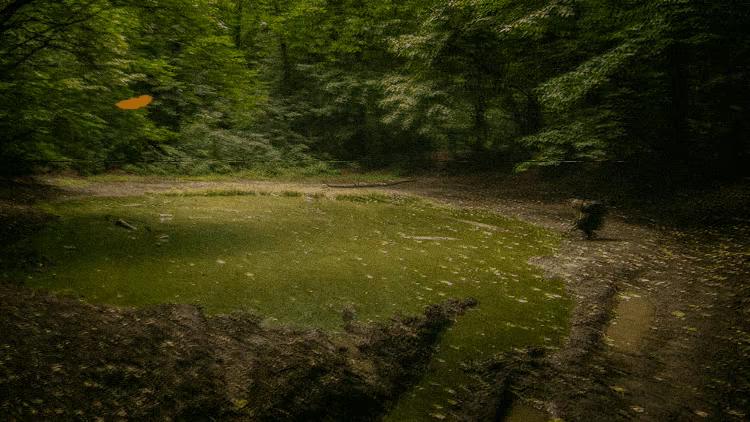 The Witches Pond video 1