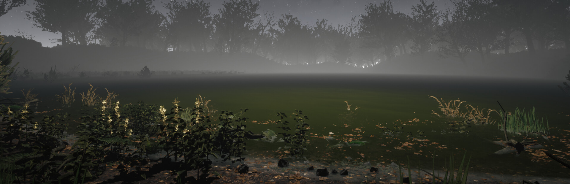 The Witches Pond