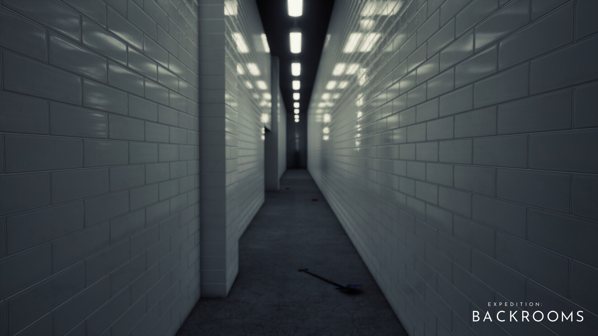 Expedition: Backrooms screenshot #11