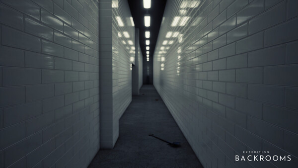 Expedition: Backrooms screenshot 11