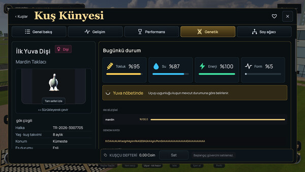 Pigeon Online World screenshot 3