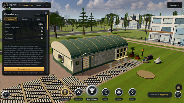 Pigeon Online World — 5