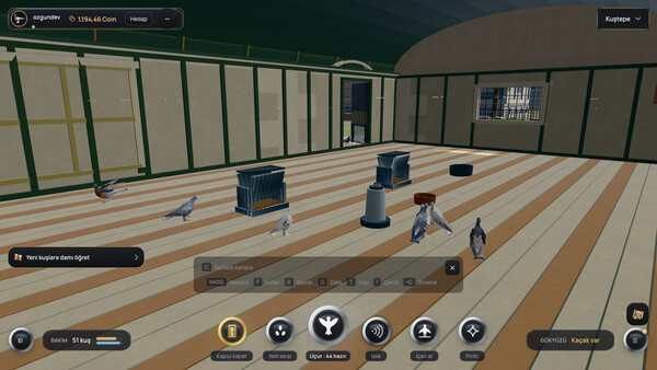 Pigeon Online World — 7
