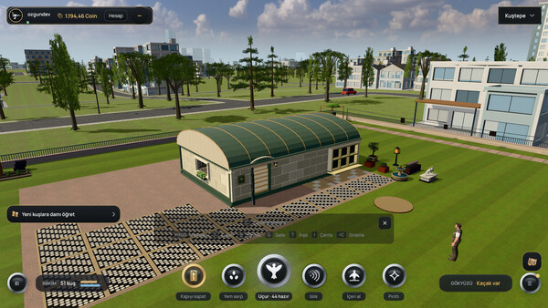 Pigeon Online World — 8