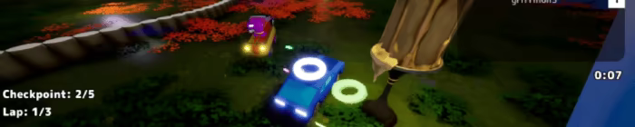 Intoxicated Driver video 2
