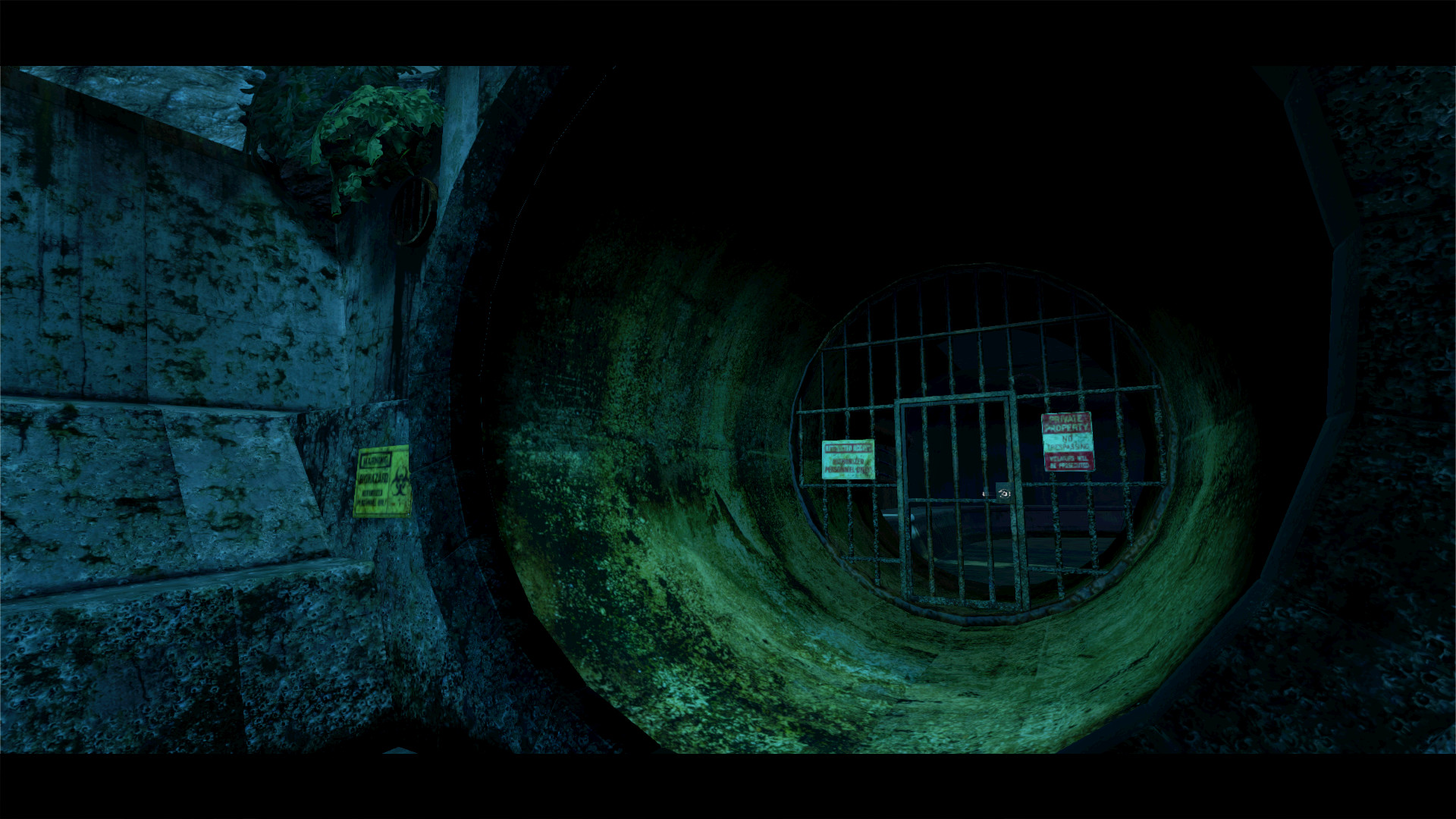 The Gallery — Episode 1: Call of the Starseed