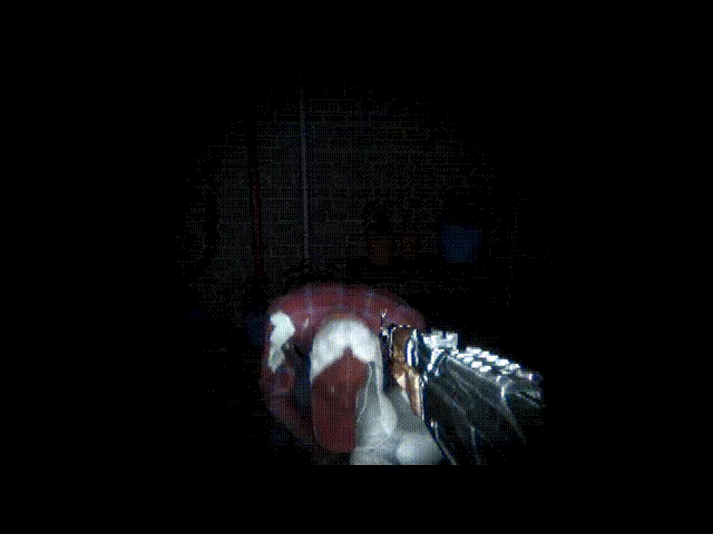 24H Stories: The Rule 7 video 3