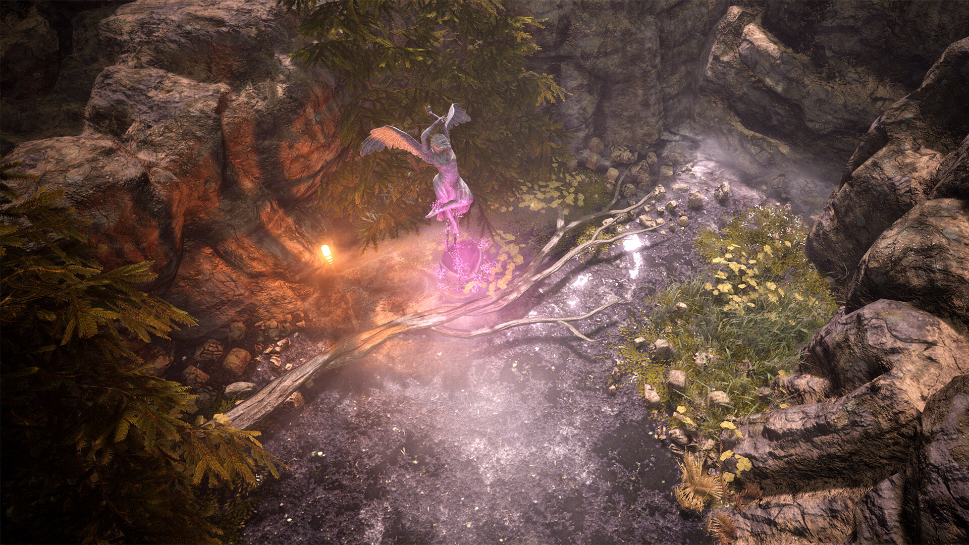 Run Tekila Run!