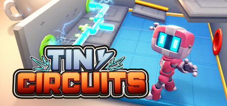 Tiny Circuits