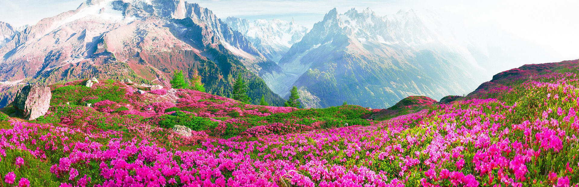Nature Escapes 5