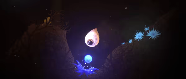 Evolution video 2