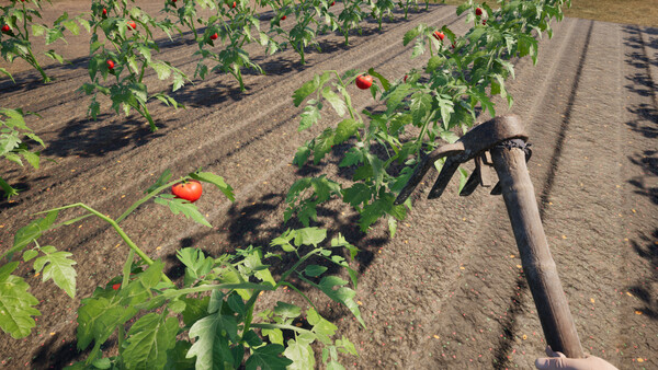 Farmer's Diary screenshot 3